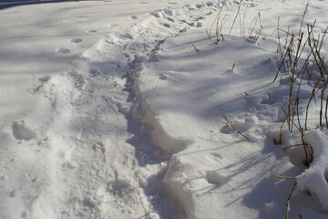footpath in white snow on a sunny winter day.