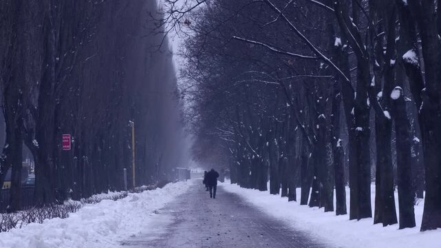 Snowy atmospheric scene featuring two unrecognizable people walking away from the camera along a tree-lined park alley during a heavy snowstorm with poor visibility on a cold winter day