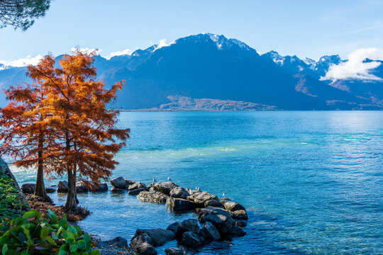 Montreux lakeside promenade autumn scenery. Montreux, Canton of Vaud, Switzerland.