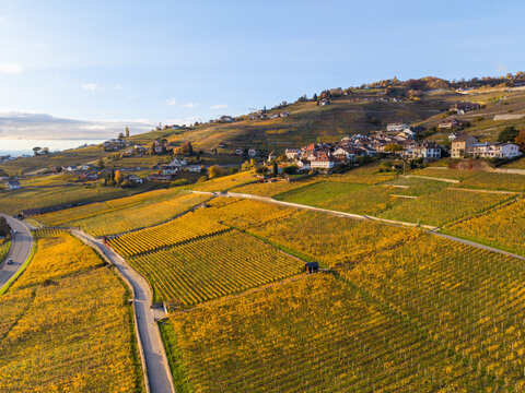 Lavaux vineyard terraces aerial view by Lake Geneva at sunset in autumn. Bourg-en-Lavaux, Canton of Vaud, Switzerland.