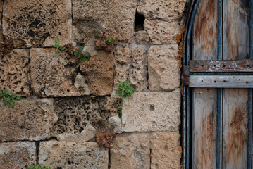 Old yellow sandstone wall and old door. A textured stone wall with small plants growing from cracks, showcasing weathered blocks and blue, worn wooden door