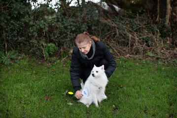 A woman kneels on a grassy lawn, gently stroking fluffy white dog Japanese Spitz outdoors, combs the dog's fur with a special brush