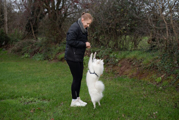 A woman in a dark jacket enjoys a playful moment with a white fluffy dog outdoors on a grassy park. Woman playing and training her dog. The dog stands on hind legs, eager for treat or toy