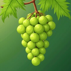 Green Grapes Hanging on Vine: A Lush, Vibrant Illustration