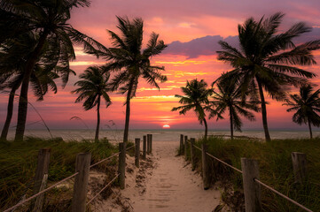 Sandy path surrounded by palm trees leading towards a gorgeous sunset in Key West Florida 
