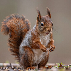 Fototapeta premium An individual with a brown paper bag stands on a city street during the daytime
