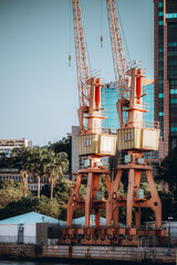 Two tall orange harbor cranes on waterfront dock with palm tree and modern glass office tower behind, clear blue sky, urban industrial port infrastructure shipping and logistic concept