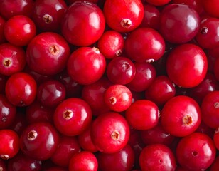 Close-up view of many fresh cranberries.  Vibrant red berries densely packed together, showcasing a multitude of round shapes and a slightly glossy surface