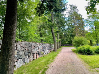 Serene Pathway Through Lush Greenery