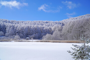 聖高原　中牧湖の霧氷