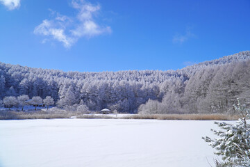聖高原　中牧湖の霧氷