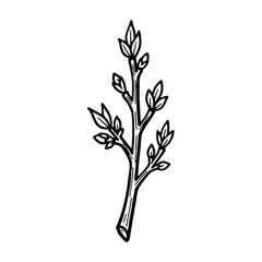 Fototapeta premium Simple Black and White Branch Illustration.