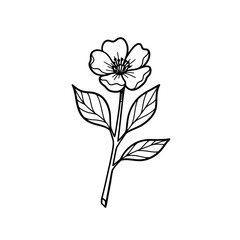 Simple Black and White Flower Illustration.