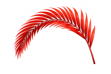 Red palm leaf curved element for tropical design. Vibrant color natural exotic foliage on transparent background