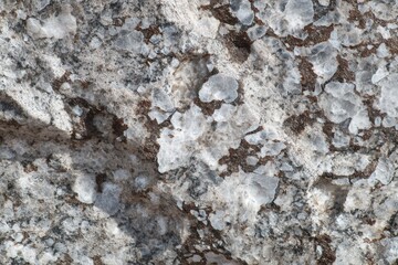 Obraz premium Textured granite rock surface displaying intricate patterns of gray and white minerals, showcasing natural beauty and geological diversity in a captivating close-up view