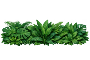 Lush tropical leaves forming green forest border, dense rainforest foliage with monstera and palm fronds on transparent background