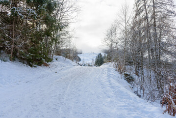 Snow covered path through woods in a mountain resort in winter. A deserted ski area partly covered with fog is visible in background.