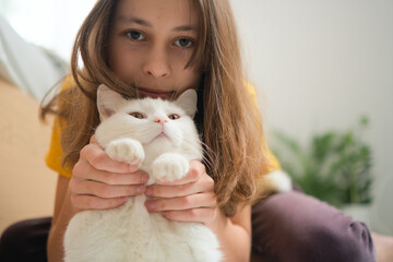 Close-up portrait of smiling adolescent gently hugging her bright white feline friend. Tender moment of interspecies connection.