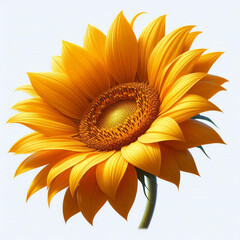 力強く咲く夏の象徴