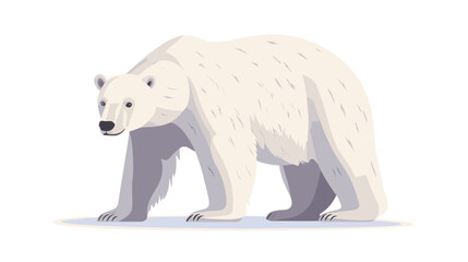 Fototapeta premium White Polar Bear Walking on White Background.