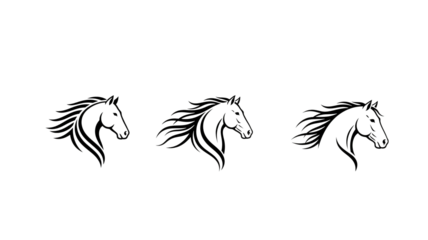 Horse Head Illustration