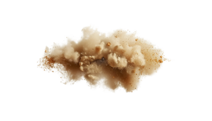 A beige-colored microscopic specimen on transparent background