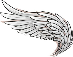 Obraz premium Elegant wing illustration with detailed feathers in a dynamic pose