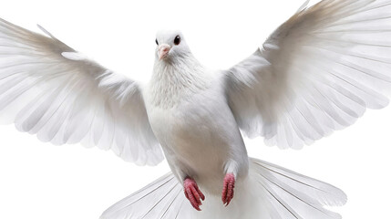 Obraz premium A white pigeon/dove captured in mid-flight with fully spread wings, showcasing its plumage and elegant flight posture against a transparent background.