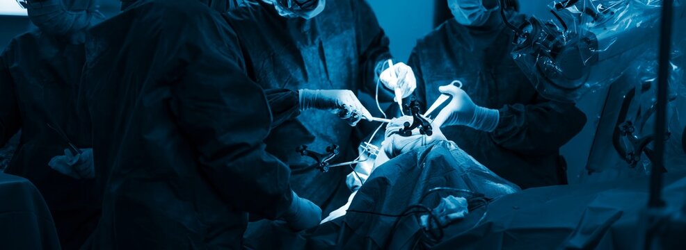 Surgeons utilize a robotic surgical assistant to perform total knee arthroplasty, focusing on bone resection and soft tissue assessment for optimal patient outcomes