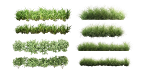 High-resolution image set of various green plants including grasses, shrubs, and ground cover, ideal for landscape design and natural backgrounds.