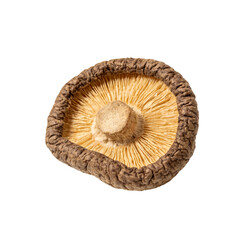 Dried shiitake mushroom, whole, top view, isolated on white background. Shows the cap, gills, and stem of the edible fungus, used in cooking as a flavoring ingredient.
