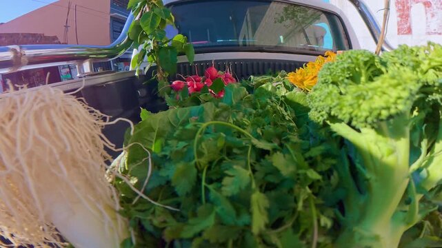 Fresh organic vegetables transported in pickup truck