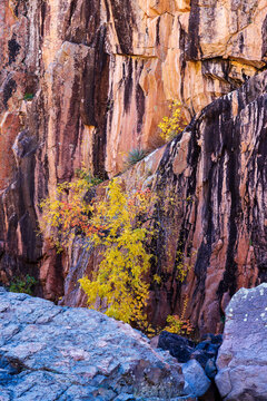 Colorful Autumn cliff scene along the E Verde River