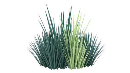 Obraz premium Green Grass Clump