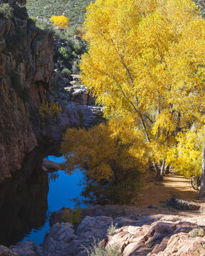 Quiet reflecting pool along the East Verde River