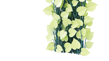 Green Heart-Shaped Leaves on Stems