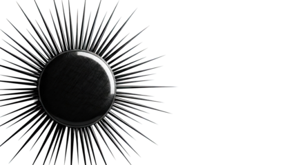Abstract black sunburst with reflective orb