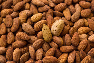 Fototapeta premium Background of roasted, salted almonds with thin inner shells,fulled frame 