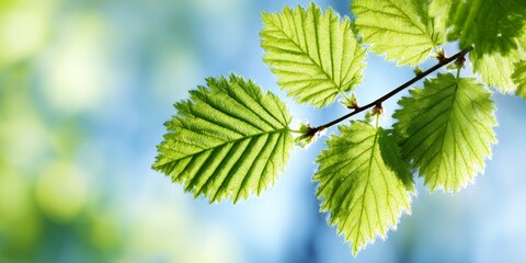 Fresh Green Leaves Symbolizing Business Innovations Technology in a Lush Environment