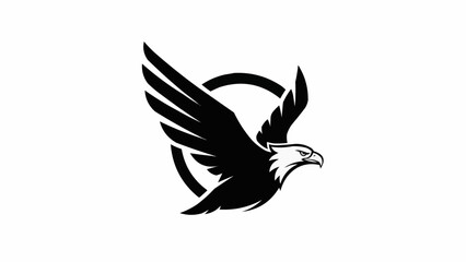 Obraz premium dove of peace