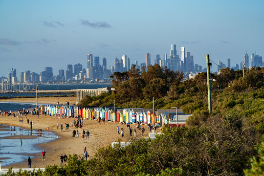 Vibrant bathing boxes line Brighton Beach, filled with people, overlooking the calm bay and Melbourne's impressive city skyline under a clear sky.