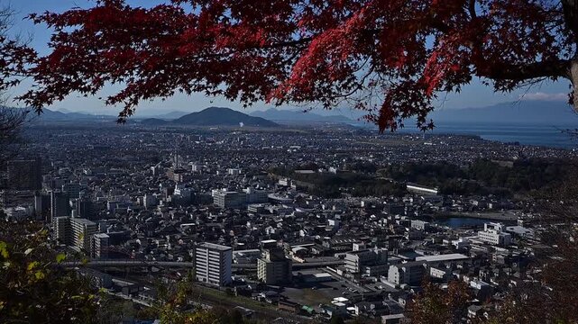 秋の彦根城と琵琶湖を背景に走る223系新快速（東海道本線 彦根 - 米原, 2025年12月）