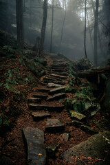 Stone steps in a foggy forest.