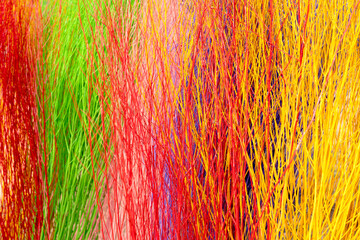 Dense arrangement of colorful painted decorative twigs and branches in red, yellow, green, and orange. Vibrant abstract background texture of dry vertical sticks for interior design or crafts.