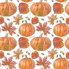 Watercolor seamless pattern with orange pumpkin and leaves on white background. October autumn vegetable raw food for sticker or halloween card. Art for kitchen. Wallpaper and wrapping or textile