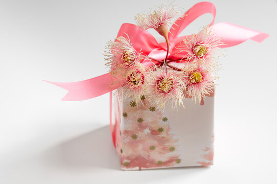 wrapped xmas present with pink Australian theme