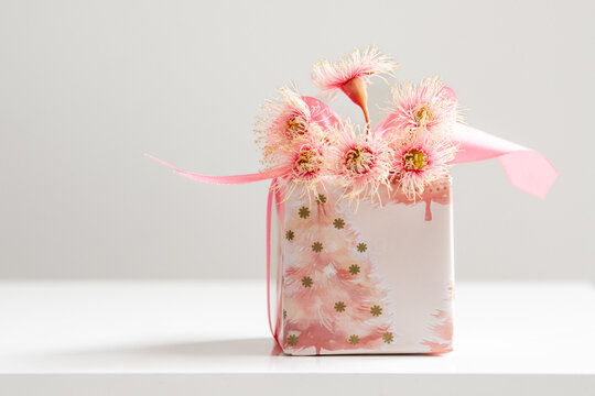 wrapped xmas present with pink Australian theme