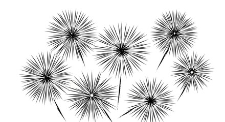 Stylized graphic illustration of abstract starburst shapes with radiating lines, resembling dandelions or delicate explosions, perfect for decorative designs