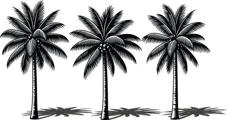 Tropical palm trees silhouette set with detailed leaves and shadows, black and white vector illustration for summer, beach, nature design projects