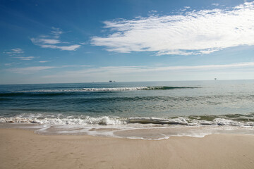 Obraz premium The city is located at the mouth of the Apalachicola River, where fresh water mixes with the salty waters of the Gulf, creating a unique ecosystem.